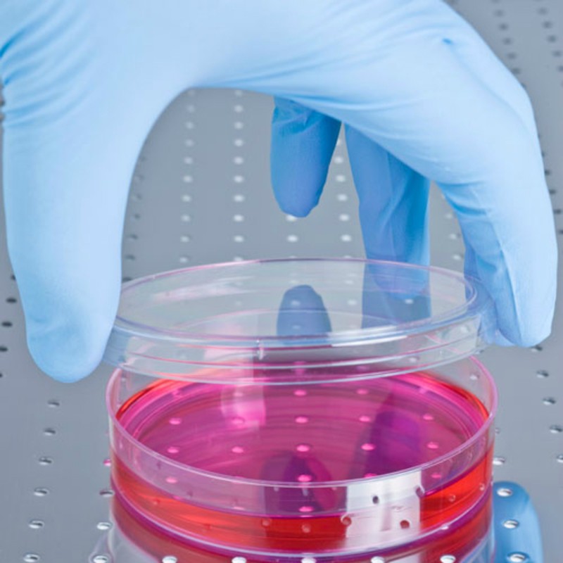 Hand Safe GN83 Blue Nitrile Examination Gloves Gloves.co.uk